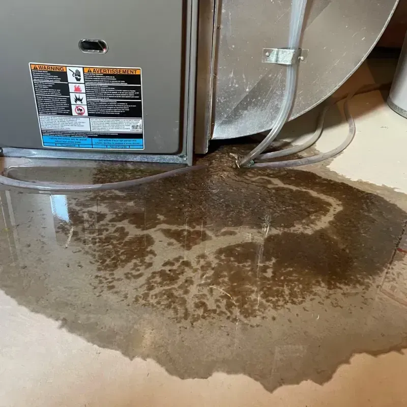 Appliance Leak Cleanup in Prospect, OH